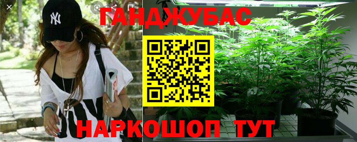 Уварово  Конопля тримм  Конопля гибрид  Вход с VPN  Каннабис гибрид 